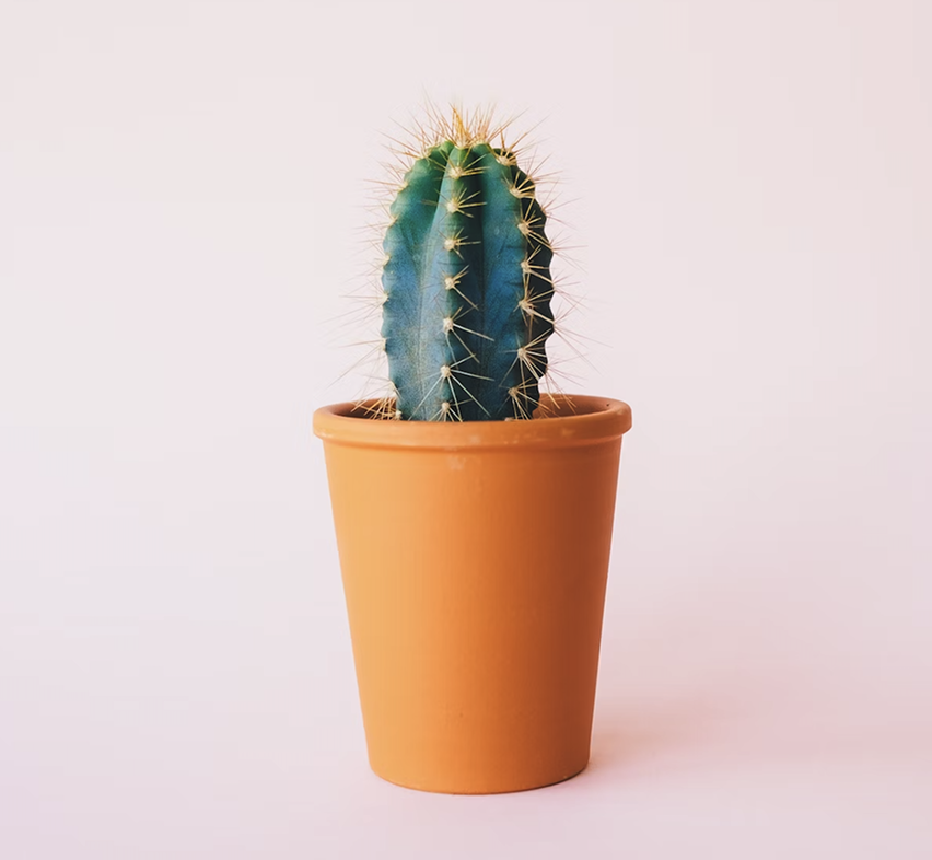 Eco-Friendly / Sustainable Products