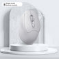 Dual-mode Bluetooth Wireless Mouse Charging Mute Office Game Applicable To Mobile Phones And Tablets